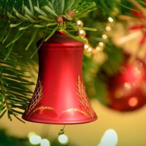 Keep Your Christmas Tree Fresh for Longer