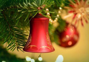 Keep Your Christmas Tree Fresh for Longer