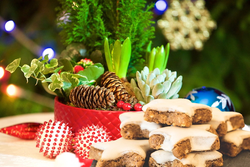 Unwrapping the Magic of Christmas-Blooming Hyacinths