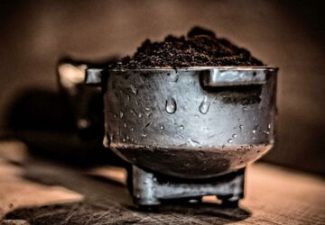 Coffee Grounds in the Garden