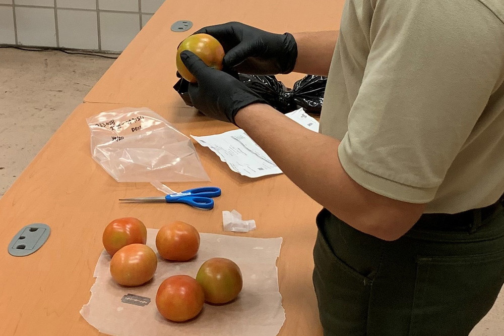 The Latest Threats from Invasive Pests and Plant Diseases