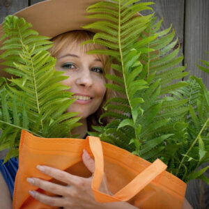 Mistakes Novice Gardeners Make When Choosing Plants