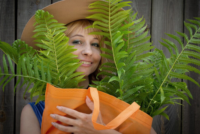 Mistakes Novice Gardeners Make When Choosing Plants