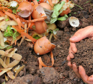 Composting Kitchen Waste