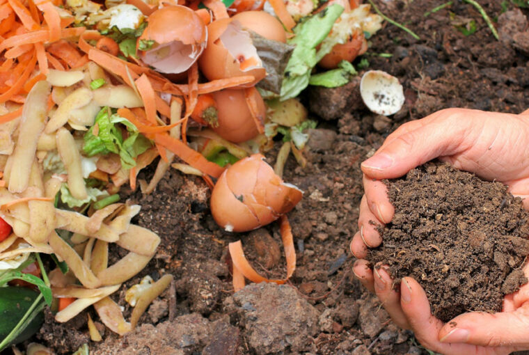 Composting Kitchen Waste