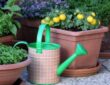 Small-Space Gardening on Your Terrace or Balcony