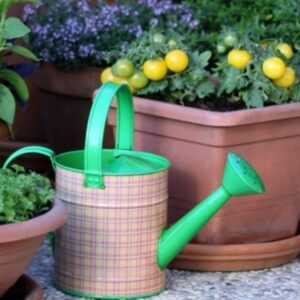 Small-Space Gardening on Your Terrace or Balcony