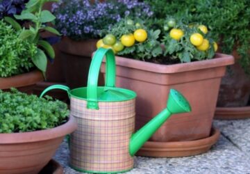 Small-Space Gardening on Your Terrace or Balcony