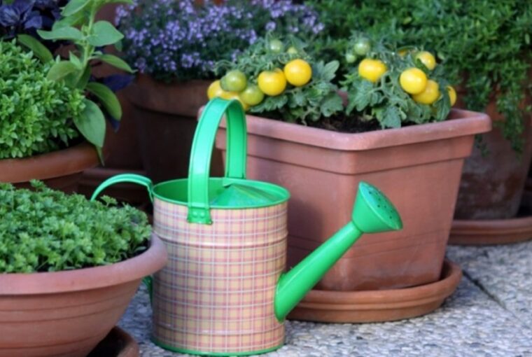 Small-Space Gardening on Your Terrace or Balcony