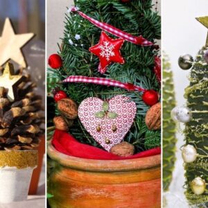 Alternatives to the Traditional Christmas Tree