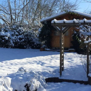 December Gardening Tasks