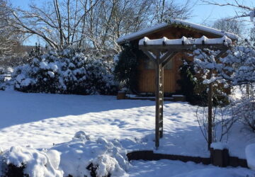 December Gardening Tasks