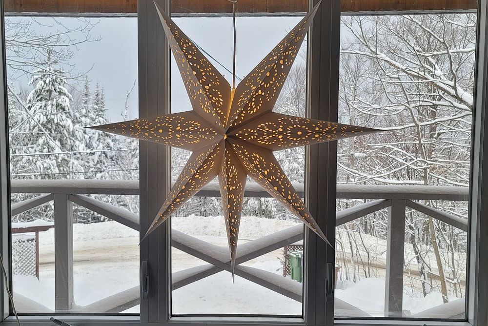 Wrapping Up the Year with Care for Your Garden