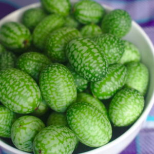 Discovering Cucamelons