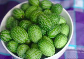 Discovering Cucamelons