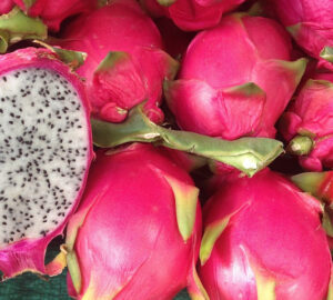 Discover Dragon Fruit: Your Guide to a Vibrant Tropical Delight