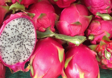 Discover Dragon Fruit: Your Guide to a Vibrant Tropical Delight