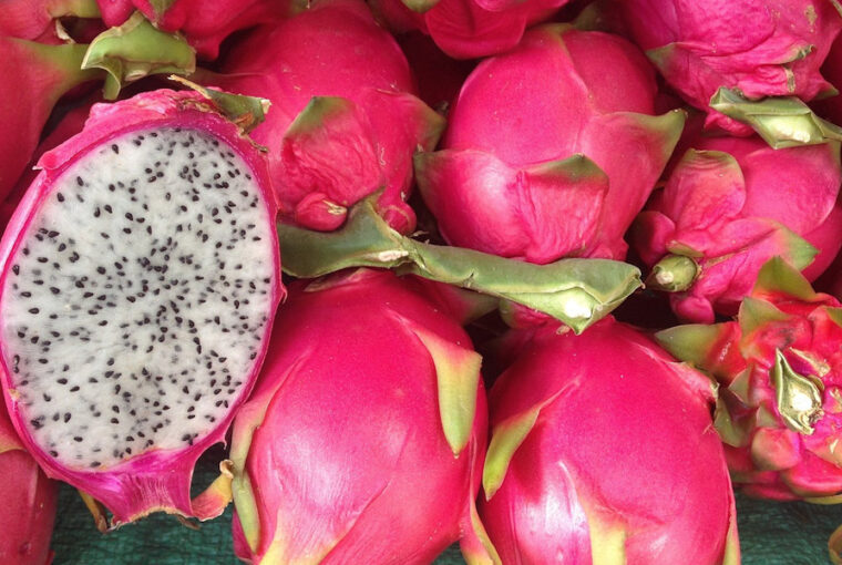 Discover Dragon Fruit: Your Guide to a Vibrant Tropical Delight