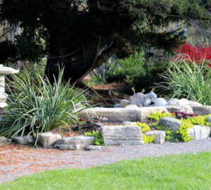 Exploring Garden Styles