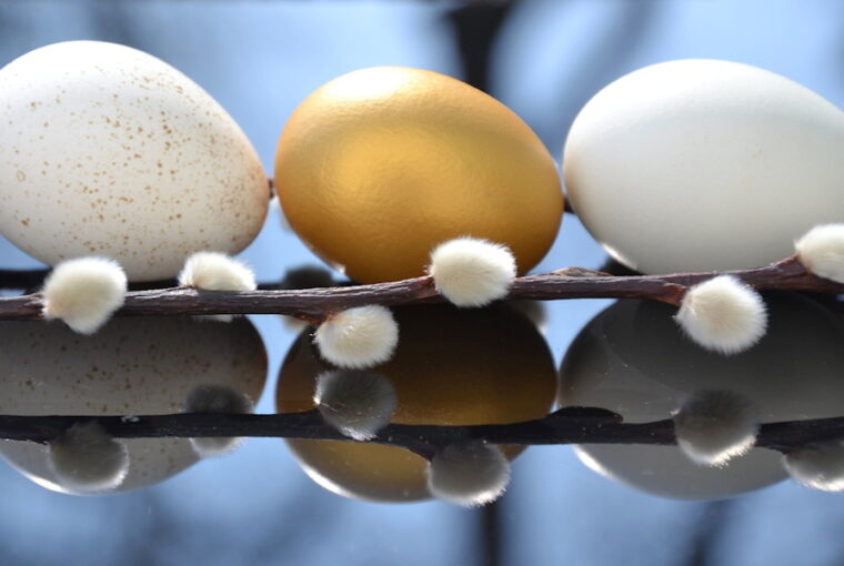 Easter's Whisper: Exploring the Willow Catkin Connection