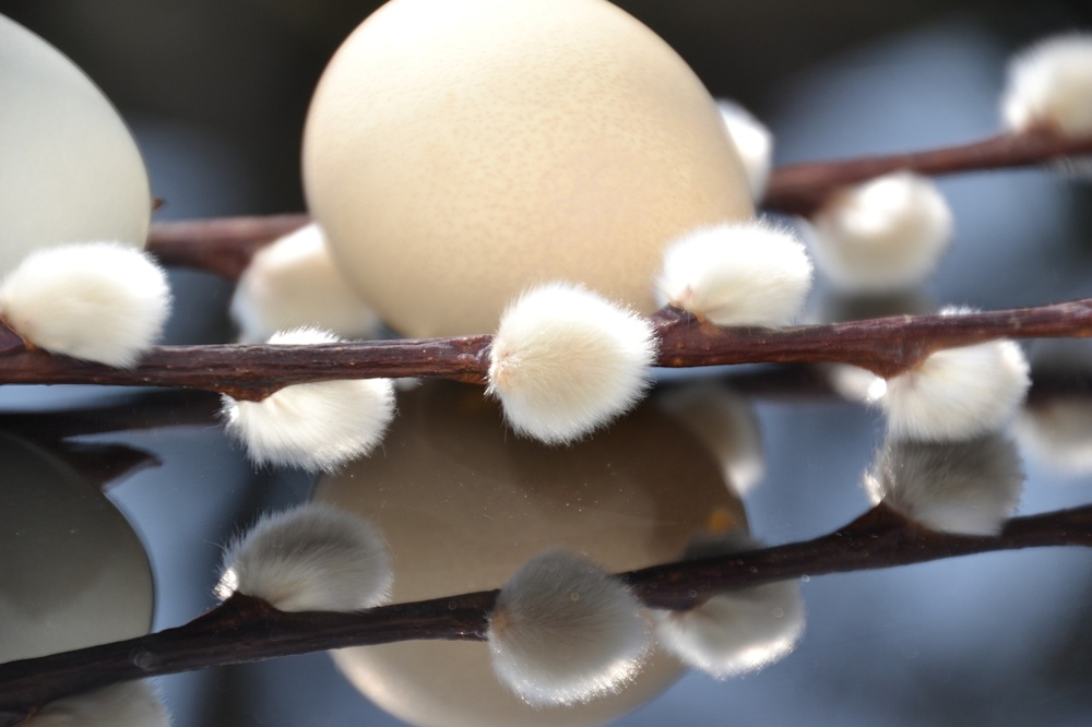 Easter's Whisper: Tradition Unraveled