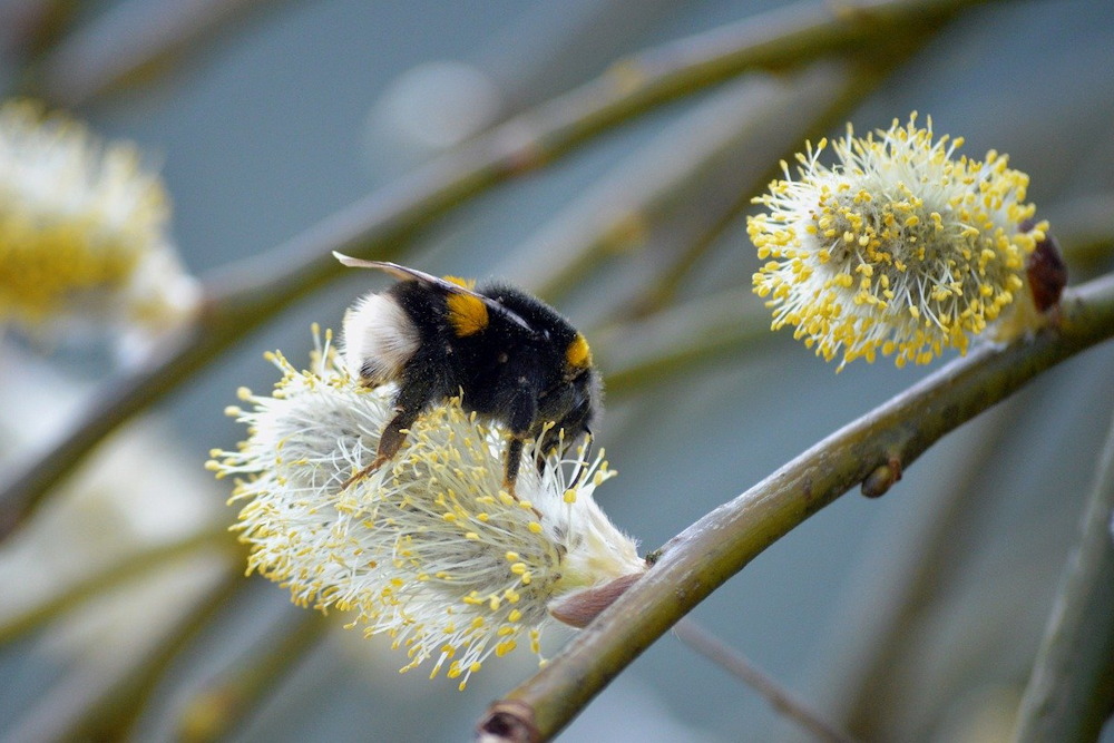 Easter's Whisper: Tradition Unraveled