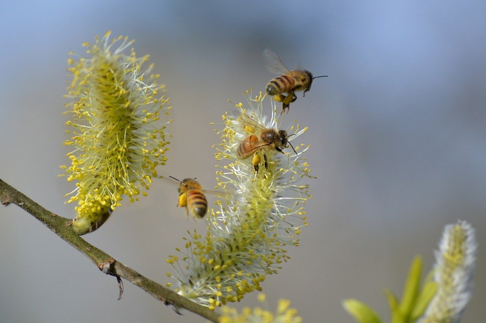 Easter's Whisper: Tradition Unraveled