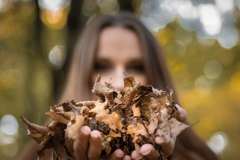 How to Use Fallen Leaves in Your Garden