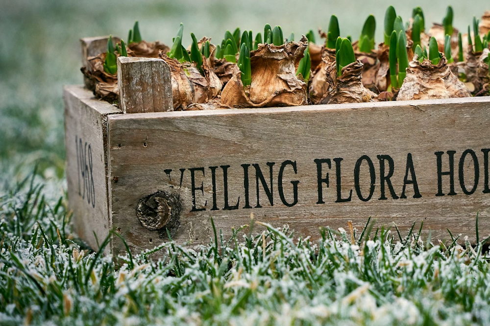 End of November Navigations