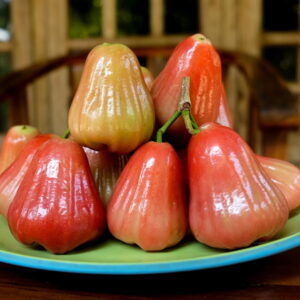 A Guide to Growing Rose Apples