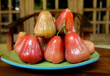A Guide to Growing Rose Apples