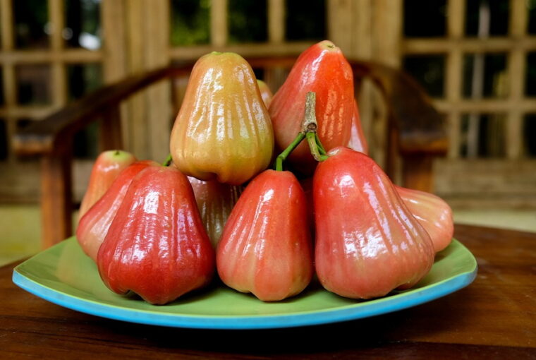 A Guide to Growing Rose Apples