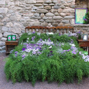 When a Flower Bed Becomes an Actual Bed