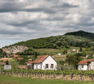 Where Do Folk Weather Sayings Come From