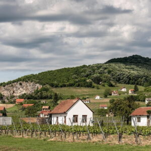 Where Do Folk Weather Sayings Come From