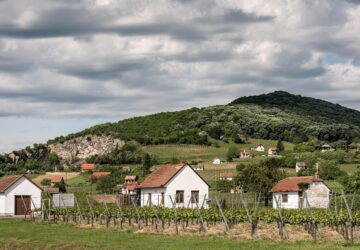 Where Do Folk Weather Sayings Come From