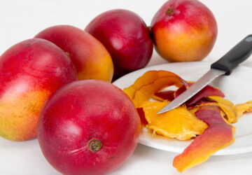 Grow a Lush Mango Tree from Store-Bought Fruit Seeds