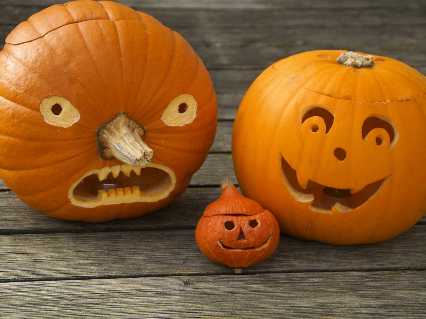 From Pumpkin to Jack-o’-Lantern: A Step-by-Step Carving Tutorial ...