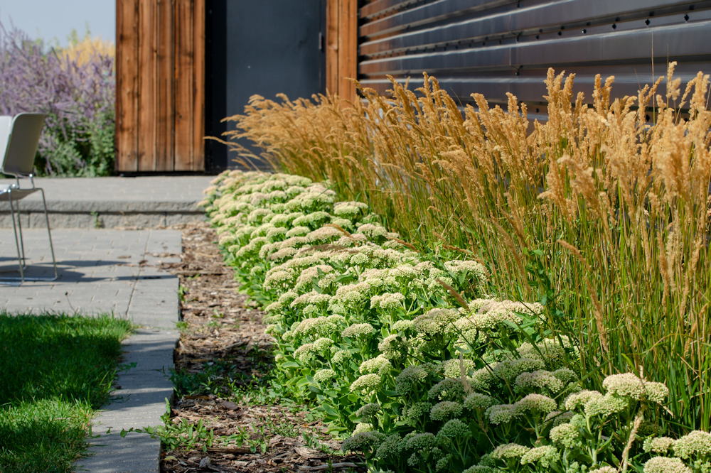 5 Essential Rules for Garden Design