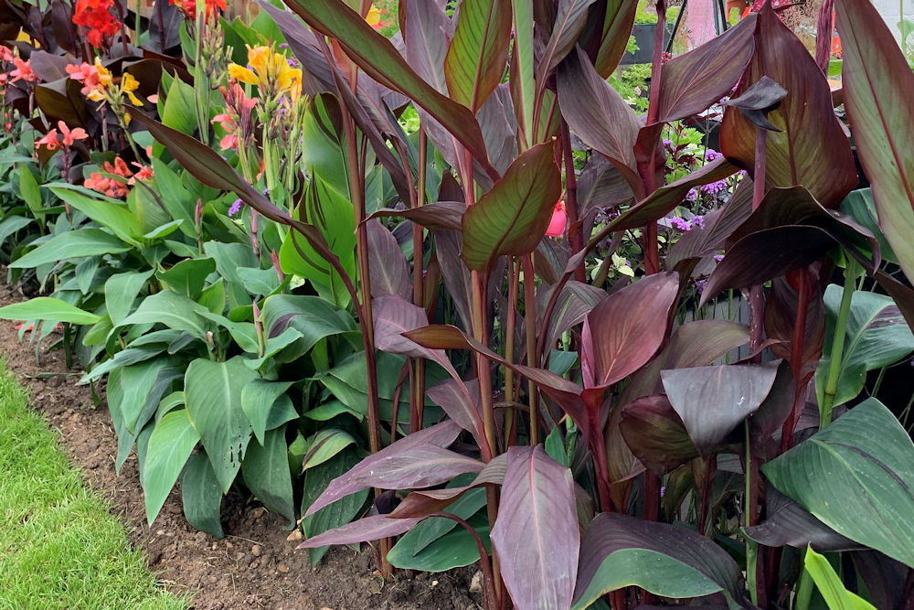 5 Essential Rules for Garden Design