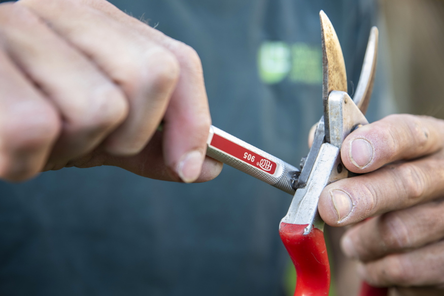 Preparing Garden Tools and Equipment for Winter Storage