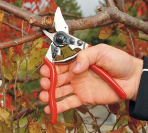 Preparing Garden Tools and Equipment for Winter Storage