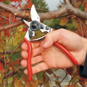 Preparing Garden Tools and Equipment for Winter Storage