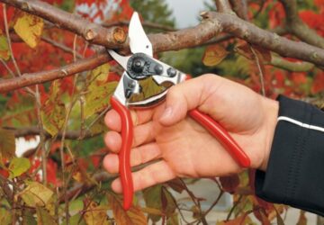 Preparing Garden Tools and Equipment for Winter Storage