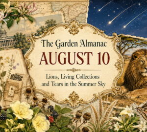 Garden Almanac for August 10