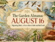 Garden Almanac for August 16