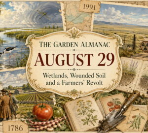 Garden Almanac for August 29