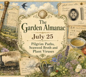 Garden Almanac for July 25
