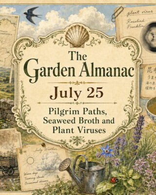 Garden Almanac for July 25