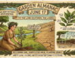 Garden Almanac for June 17